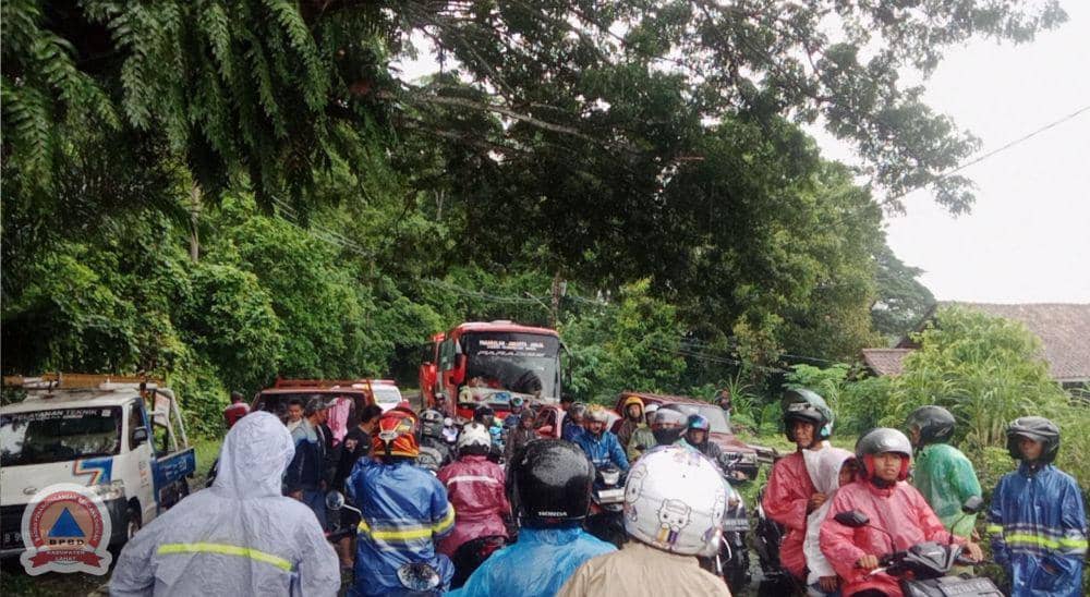 Banjir dan Pohon Tumbang Landa Lahat Usai Diguyur Hujan Lebat