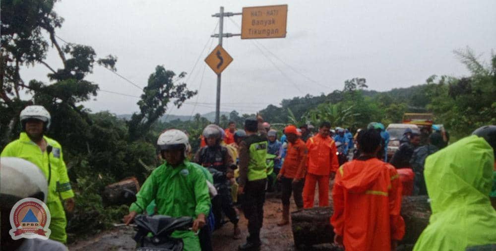 Banjir dan Pohon Tumbang Landa Lahat Usai Diguyur Hujan Lebat