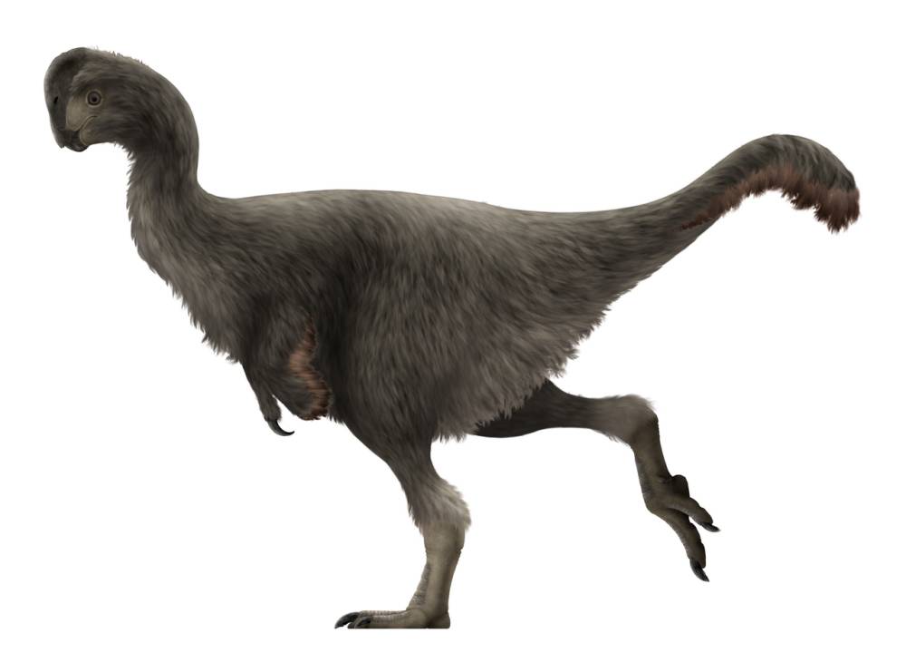 Tidak semua dinosaurus hidup di satu zaman yang saman (commons.wikimedia.org/PaleoNeolitic)