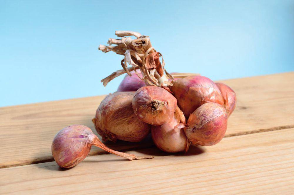 ilustrasi bawang merah (pexels.com/Miguel Á. Padriñán)