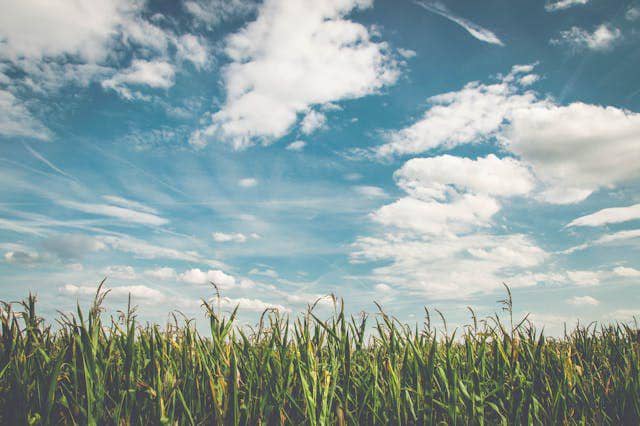 ilustrasi awan (pexels.com/pixabay)