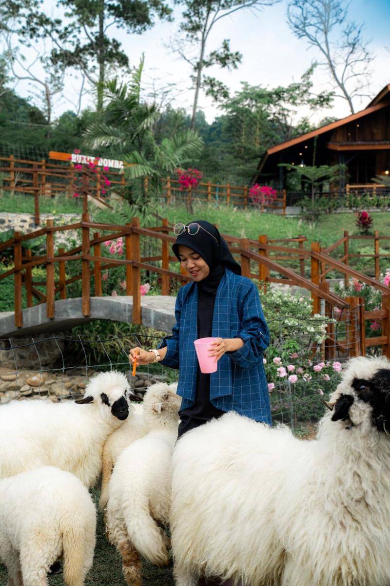 Potret pengunjung berinteraksi dengan domba-domba di Wisata Bukit Domba Sentul (sentulcity.co.id)