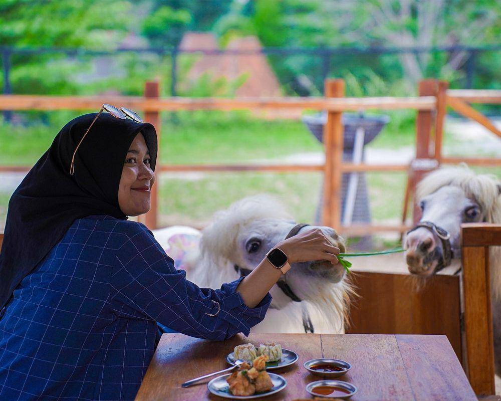 Potret pengunjung berinteraksi dengan domba-domba di Wisata Bukit Domba Sentul (sentulcity.co.id)
