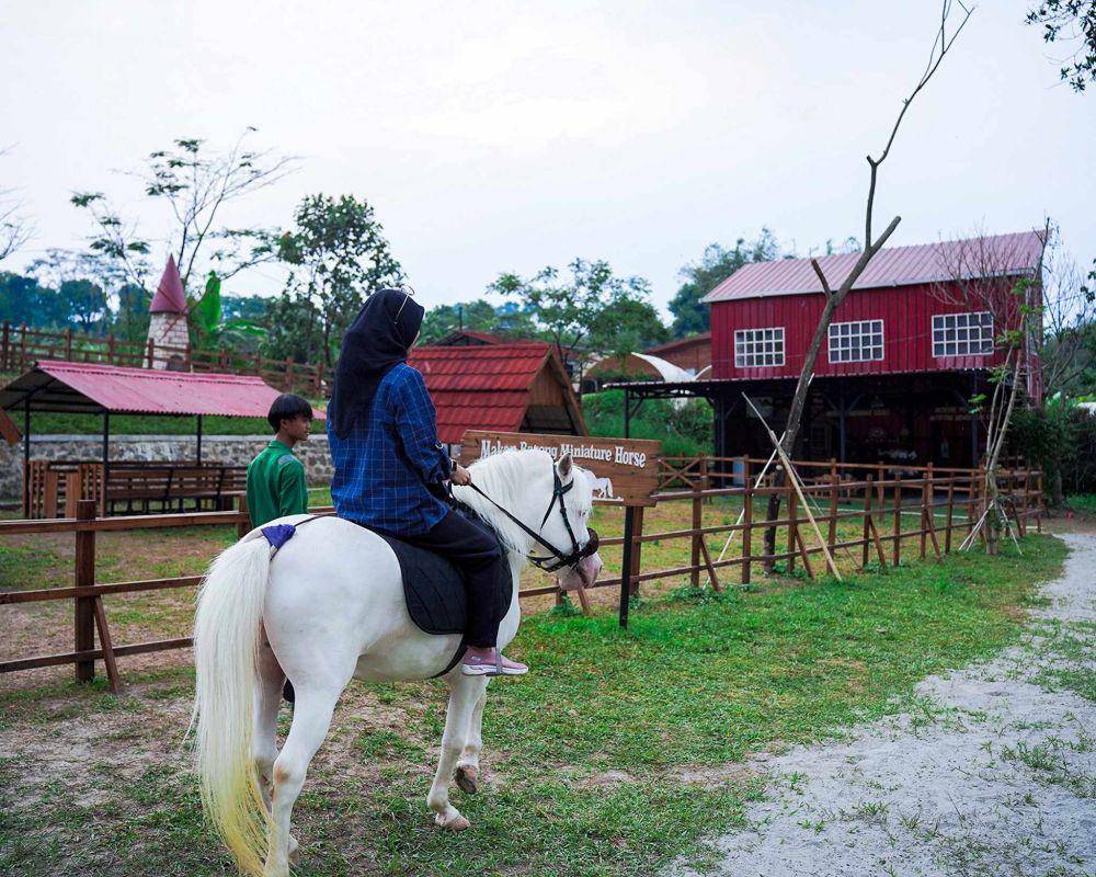 Potret pengunjung naik kuda poin di Wisata Bukit Domba Sentul (sentulcity.co.id)