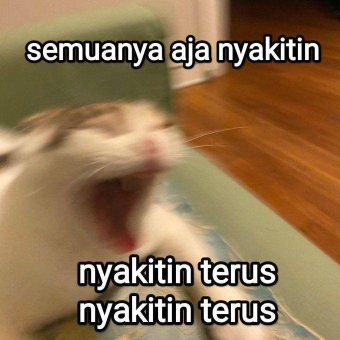 Meme marah-marah (x.com/halupulisi)