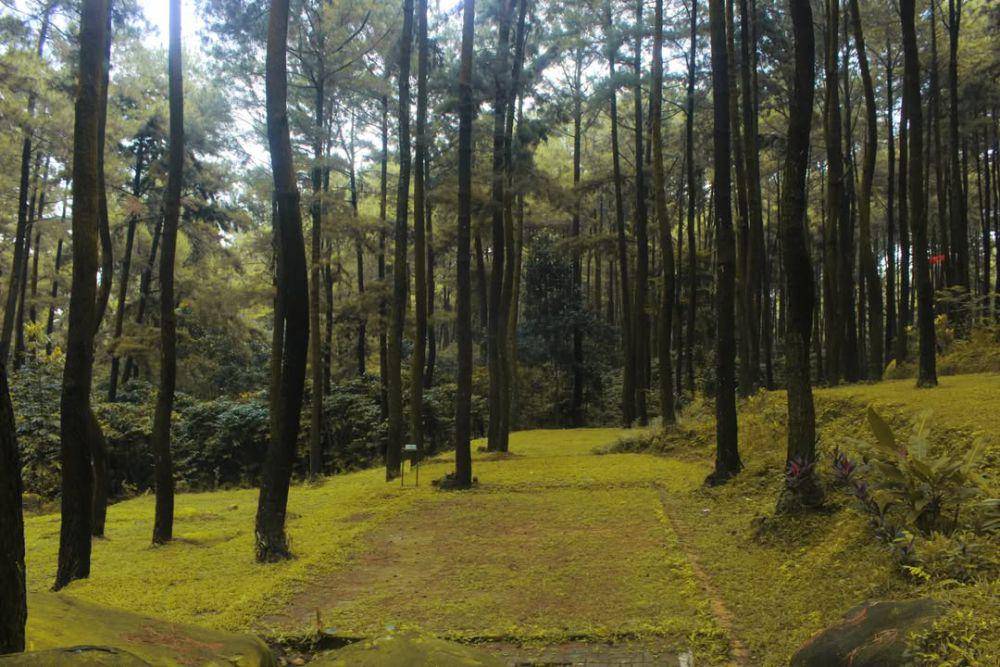 Taman Wisata Alam Gunung Pancar (instagram.com/gunungpancar.official_id)