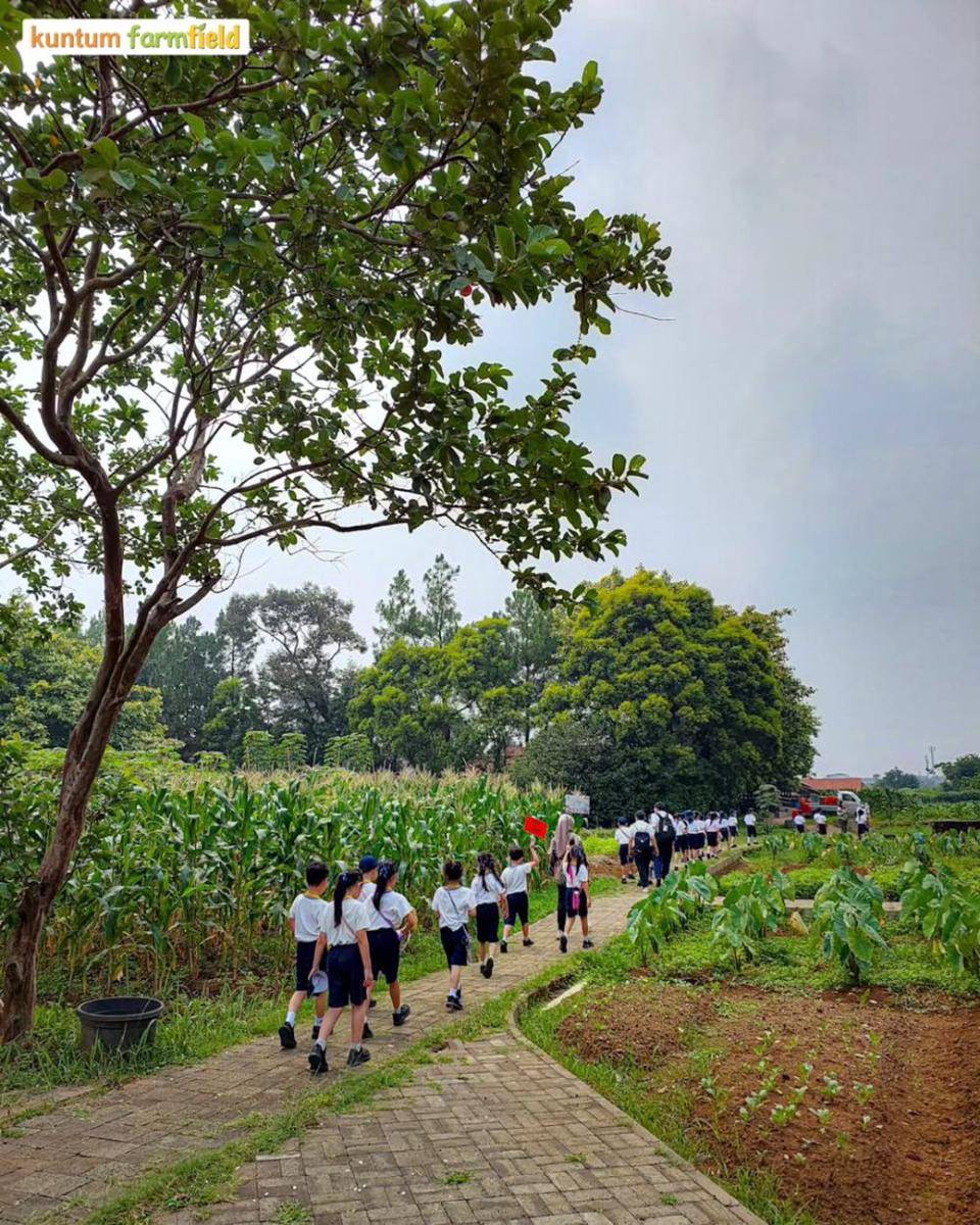 Kuntum Farmfield dan Nurseries (instagram.com/kuntumfarmfield)