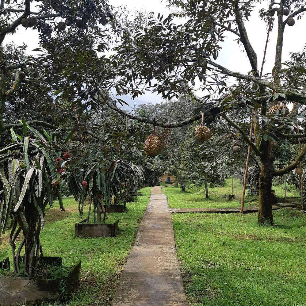 Warso Farm (instagram.com/warsofarm)