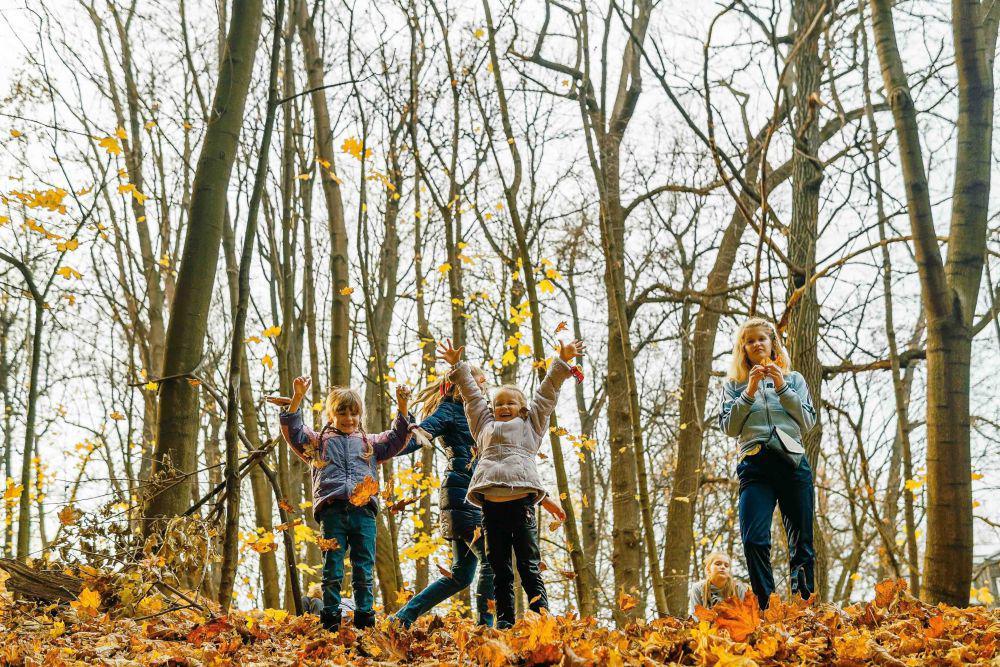5 Rekomendasi Taman Wisata Alam di Bogor untuk Weekend Seru