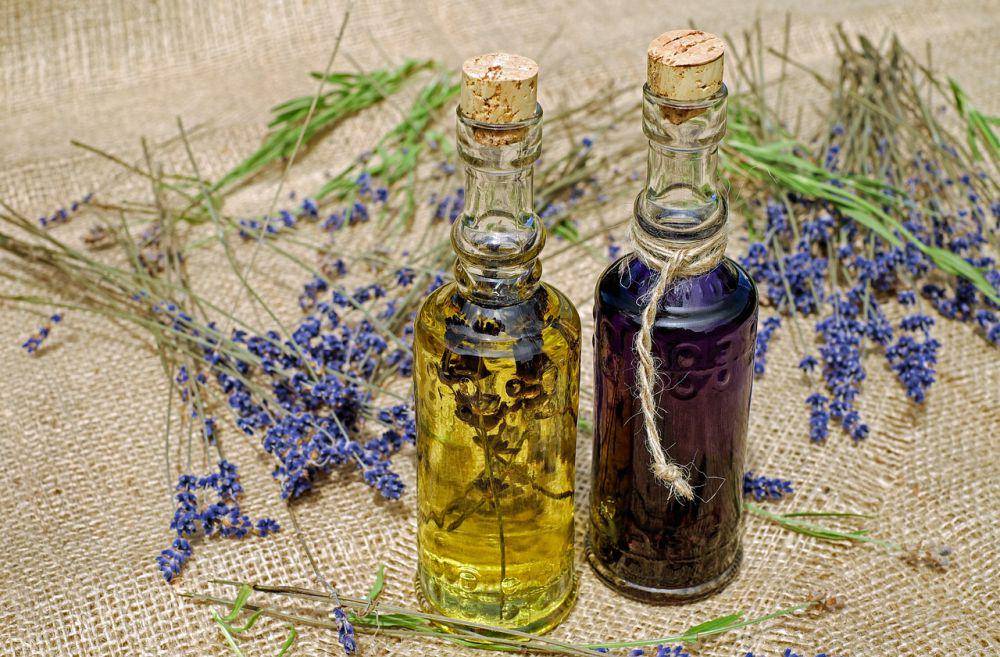 ilustrasi aromaterapi lavandula angustifolia (pixabay.com/Couleur)