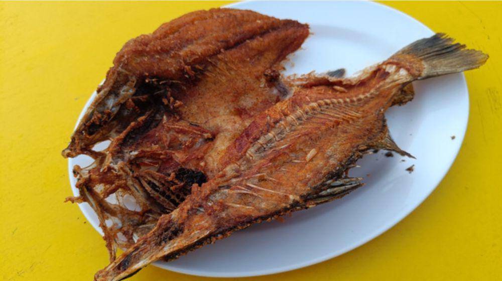 ilustrasi ikan goreng tepung (vecteezy.com/tanu4869)