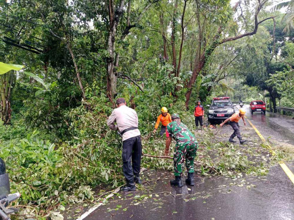 Pohon tumbang di Karangasem (Dok.BPBD Karangasem)