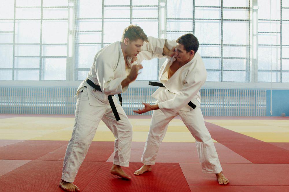 Karate (pexels.com/Artem Podrez)