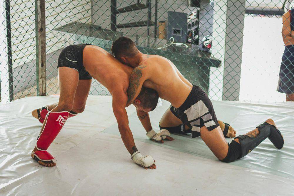 Sambo (pexels.com/Bruno Bueno)