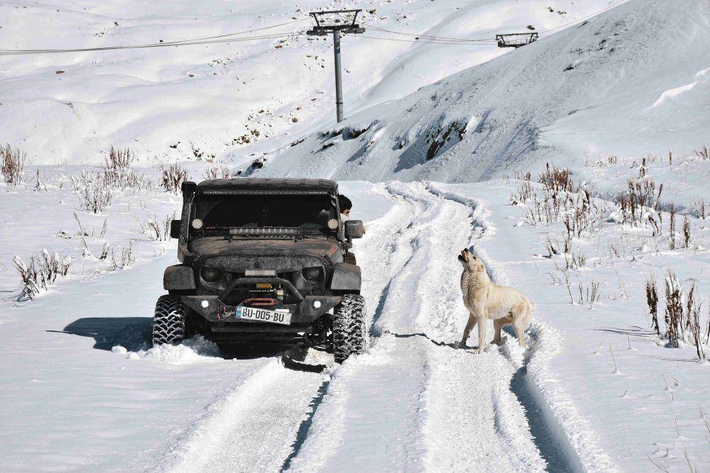 ilustrasi ban mobil off-road (pexels.com/Artem Makarov)