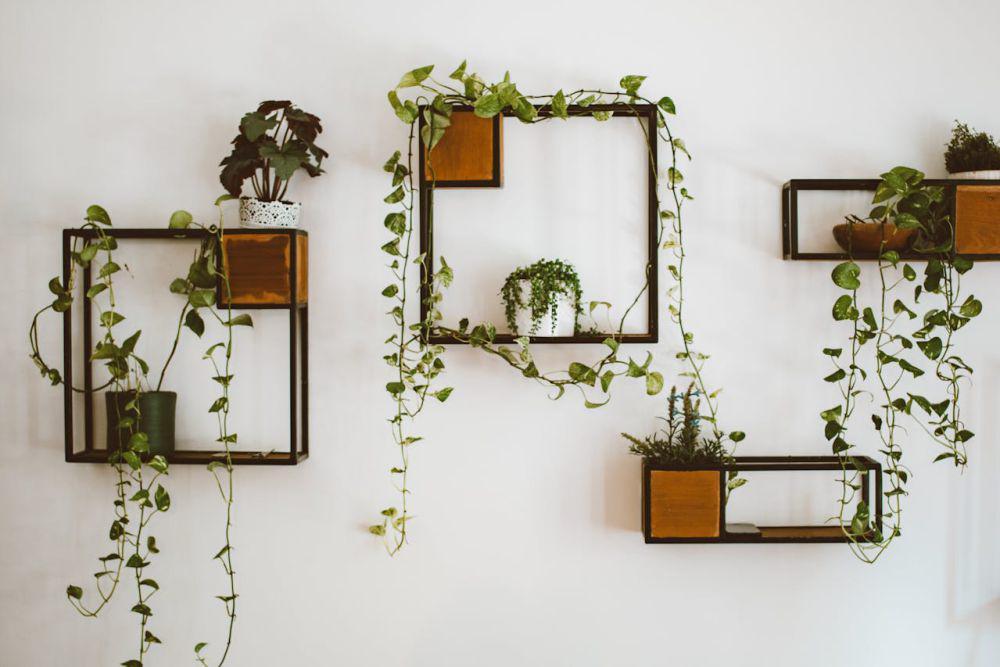 7 Ide Hiasan Dinding Ruang Tamu Minimalis, Bikin Rumah Makin Stylish!