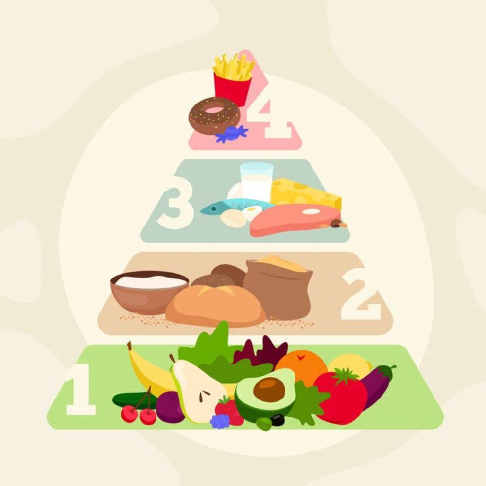 Ilustrasi pola makan bergizi seimbang (freepik.com/freepik)
