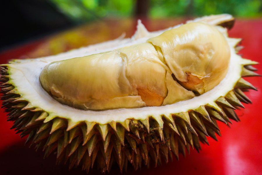 [QUIZ] Jenis Durian yang Cocok Berdasarkan Golongan Darahmu