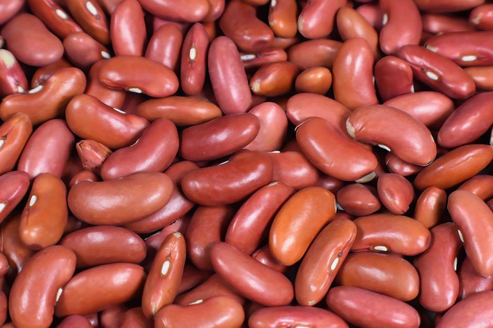 ilustrasi kacang merah (pixabay.com/Ray_Shrewsberry)