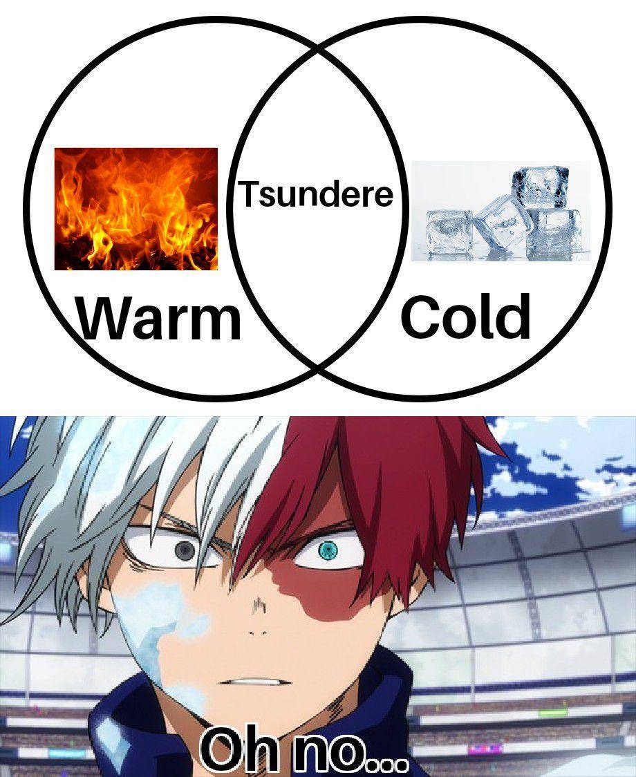 potret meme Todoroki (reddit.com/user/E-max777)