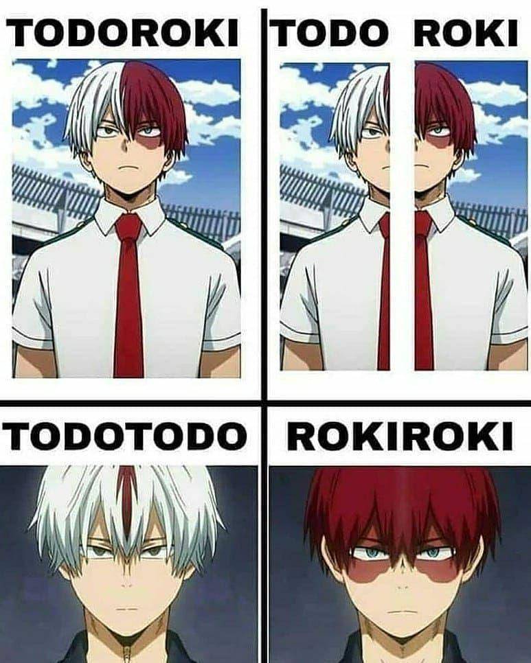 potret meme Todoroki (reddit.com/user/Sid110011)