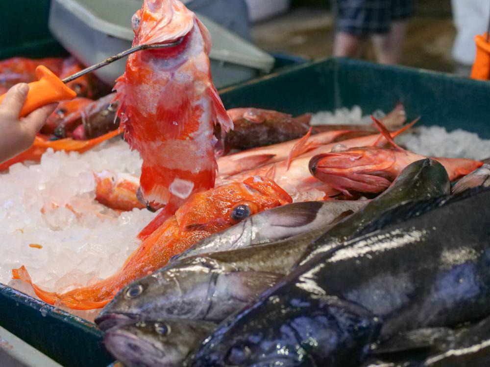 Menyingkap Rahasia di Balik Frozen Food, Kenapa Makanan Bisa Awet?