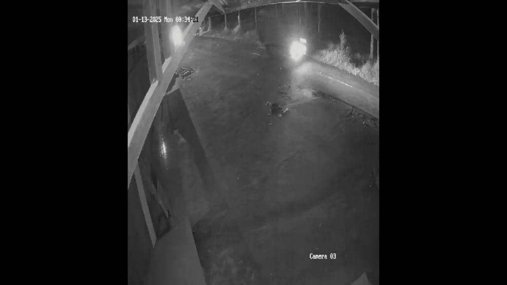 Rekaman CCTV tampak mobil pick-up beriringan dengan mobil boks. IDN Times/Istimewa.