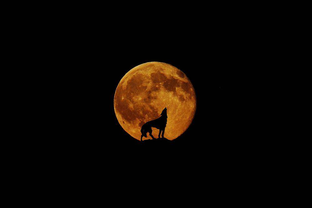 ilustrasi bulan purnama wolf moon (pixabay.com/nidan)