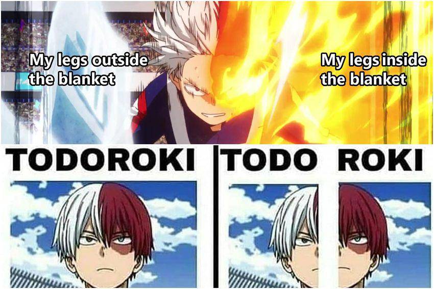 kolase potret meme Todoroki (reddit.com/user/tucklebuckle | reddit.com/user/Sid110011)