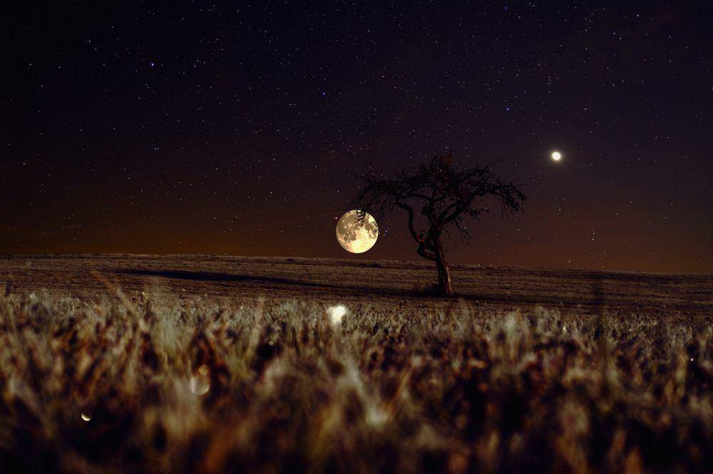 ilustrasi konjungsi Bulan dan Mars (pixabay.com/Bru-nO)