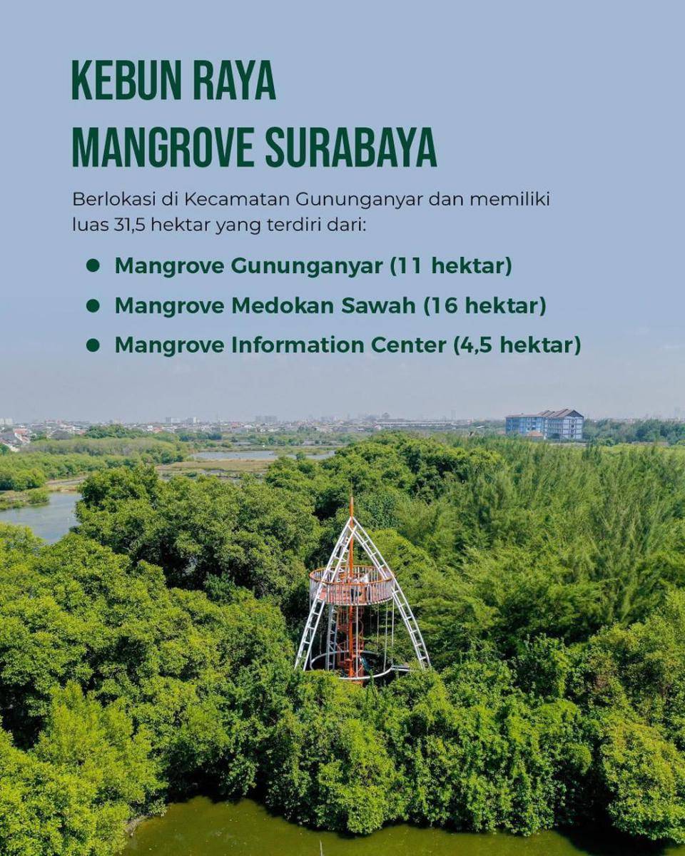 Kebun Raya Mangrove. https://www.instagram.com/surabaya/