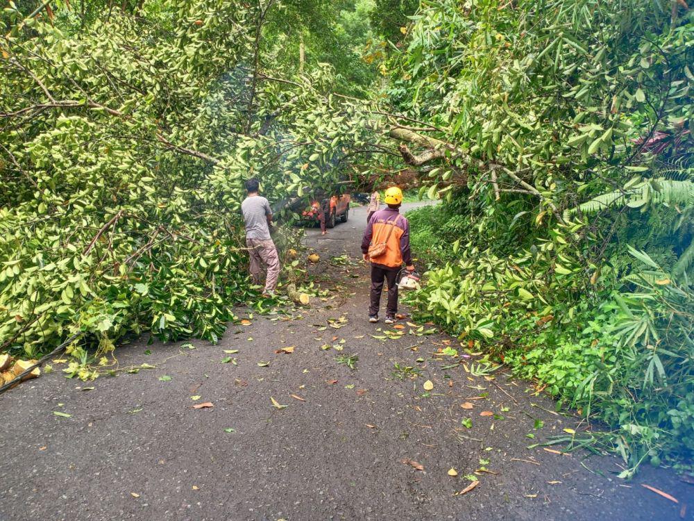 BPBD Gianyar Menangani 17 Kejadian Bencana dengan Kerugian Rp109 Juta