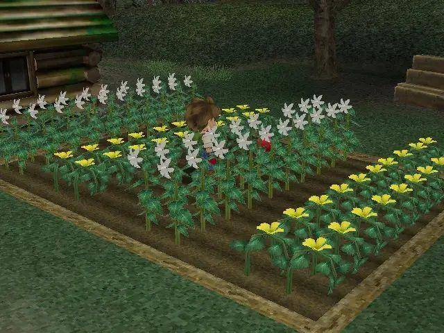 cuplikan Harvest Moon: A Wonderful Life (dok. Natsume/Harvest Moon: A Wonderful Life)