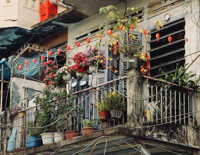 Hiasan Imlek (unsplash.com/shi3001)