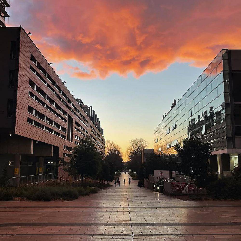 Universitas New South Wales (instagram.com/unsw)