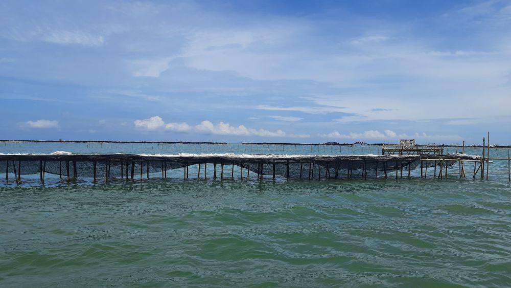Ada Nama Eks Menteri Kelautan di 2 Perusahaan Pemilik SHGB Pagar Laut