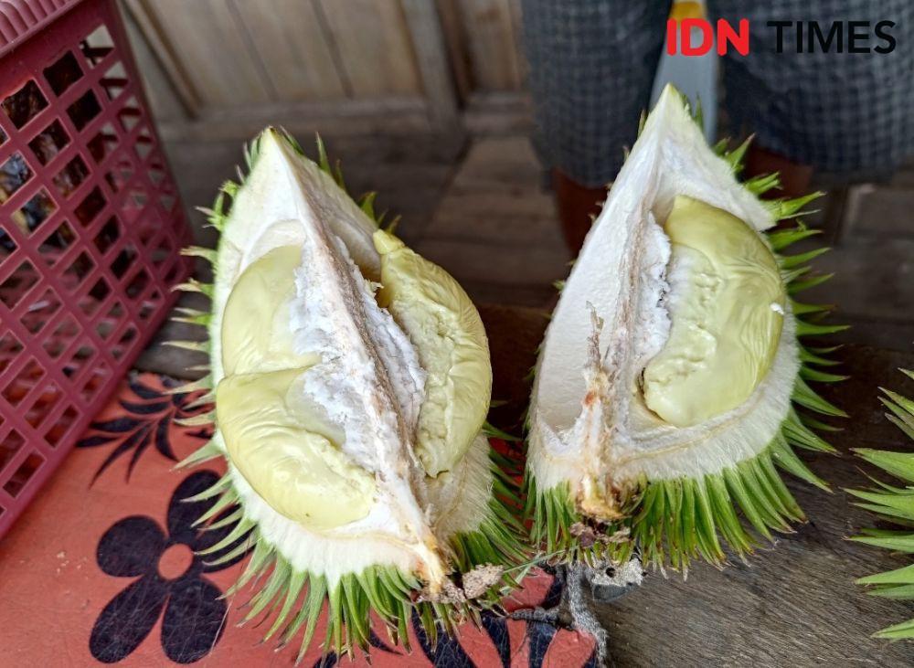 Mencicip Manisnya Duren Imbe, Durian Hutan Khas Muba yang Langka