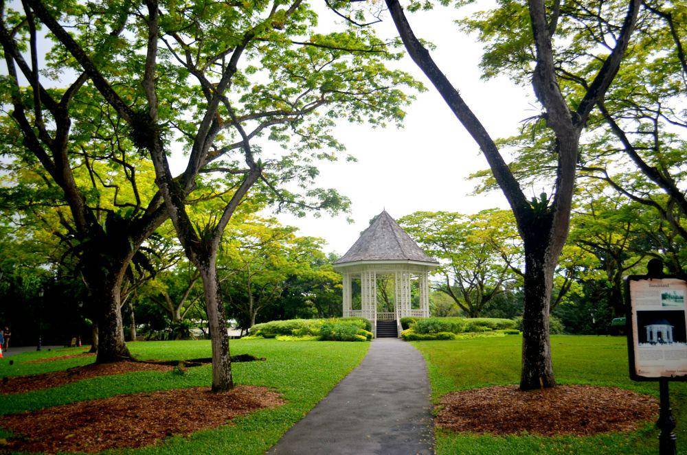potret pemandangan Singapore Botanic Garden (unsplash.com/Ajay Sharda)