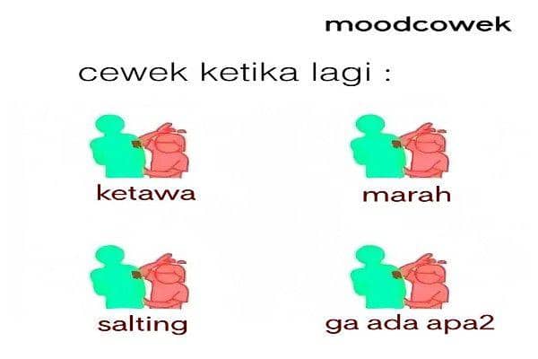 Meme Ini Cuma Cewek Yang Paham Idn Times