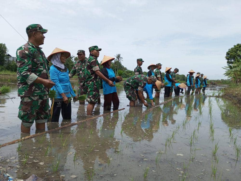 Gerakan tanam padi di lahan bekas banjir di Padukuhan Kuwaru, Kalurahan Poncosari Kapanewon Srandakan, Kabupaten Bantul.(IDN Times/Daruwaskita)