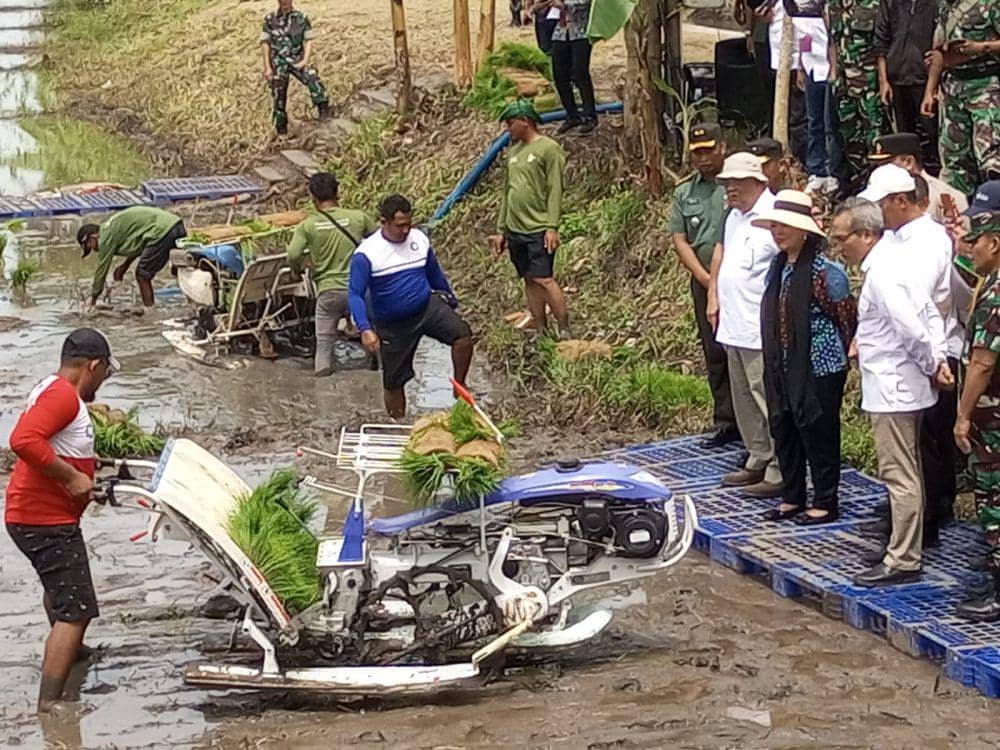 Menteri Pertanian Janji Sawah di Kuwaru Bantul Tak Banjir Lagi