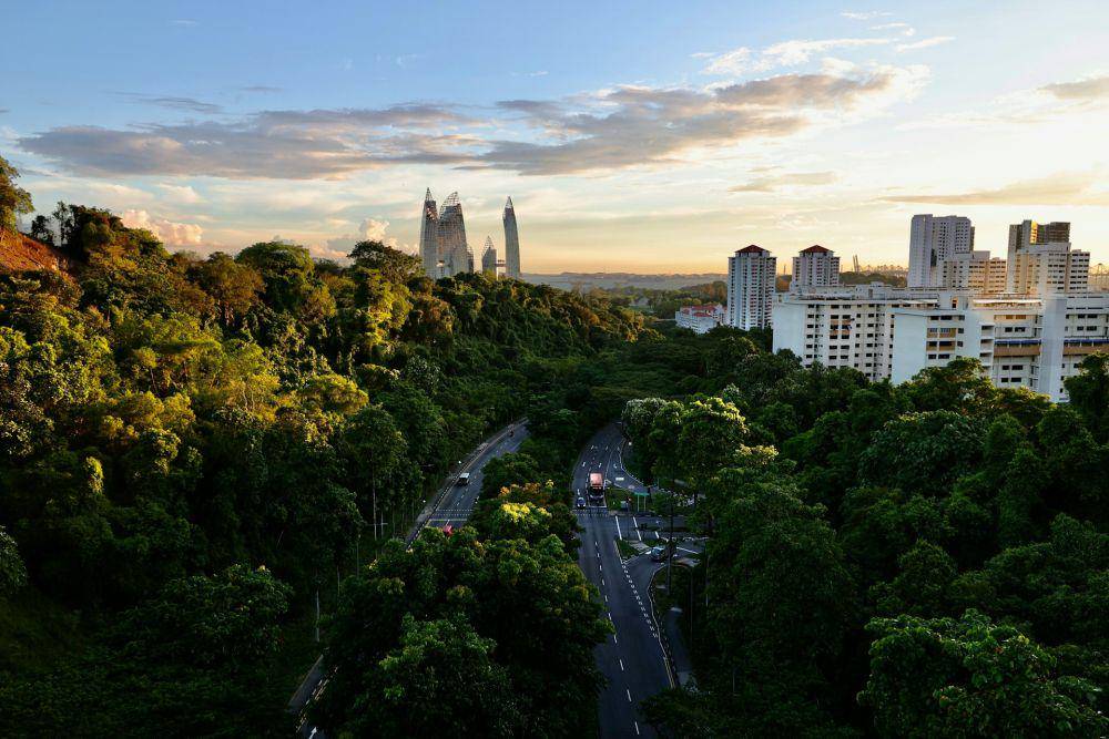 potret pemandangan dari Henderson Waves Singapore (unsplash.com/Jiachen Lin)