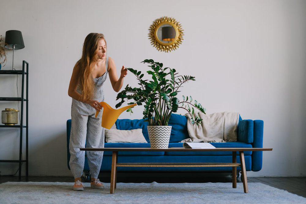 Biar Panjang Umur, Ini 5 Tips Merawat Tanaman Asli di Dalam Rumah