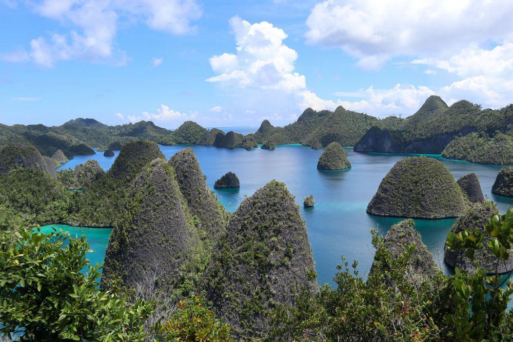 Kenapa Raja Ampat Jadi Destinasi Wisata Impian? Ini 5 Alasannya