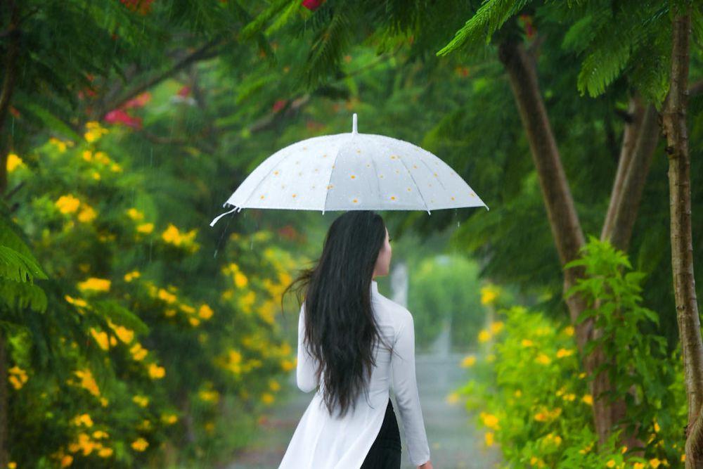 9 Tanaman Bunga yang Cocok untuk Musim Hujan, Taman jadi Cantik