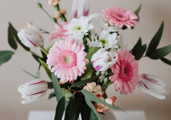 ilustrasi gerbera (pexels.com/Photo By: Kaboompics.com)