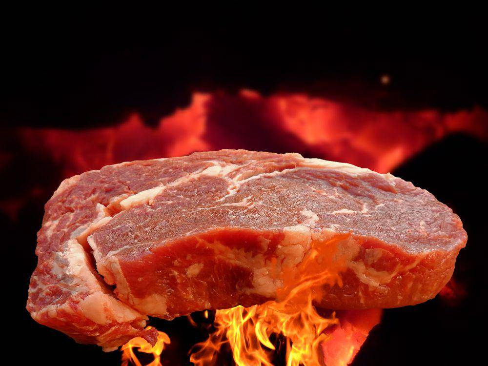 ilustrasi membakar daging (pixabay.com/Bru-nO)