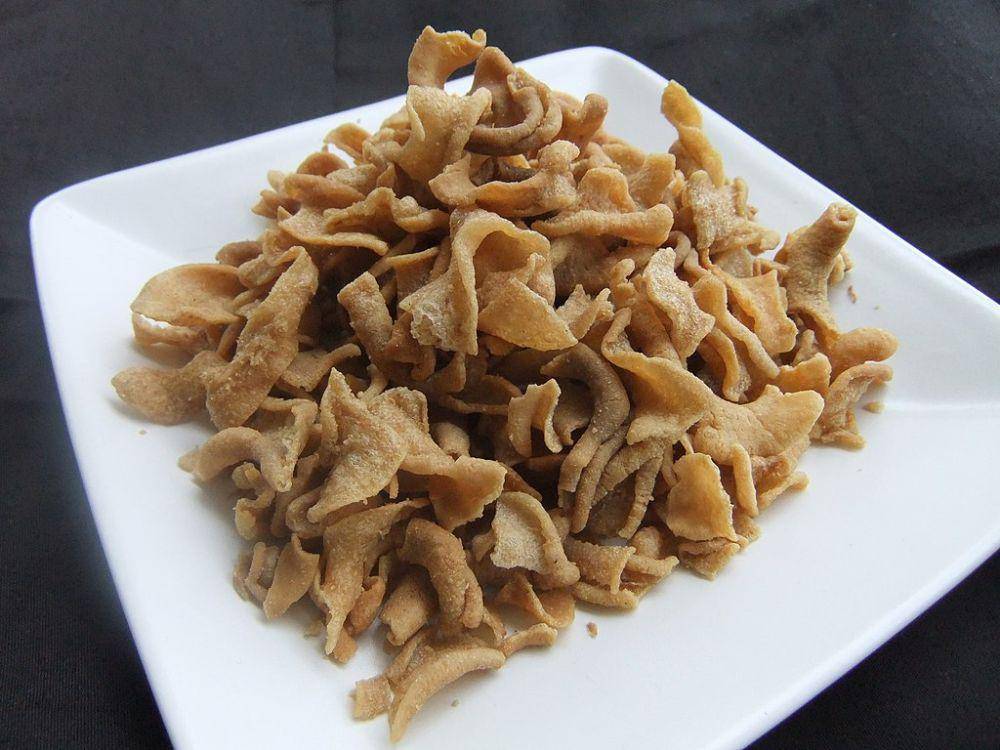ilustrasi usus goreng (commons.wikimedia.org)