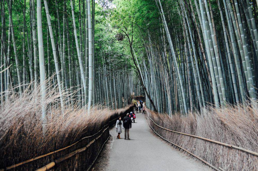 Arashiyama Genrokuzanchō, Kyoto (unsplash.com/esther_tch)