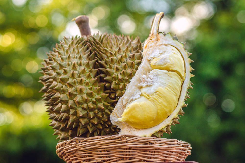 Kelezatan Kue Basong Durian, Kuliner Tradisional Kalimantan Timur